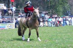 Ester en "La Mimosa"