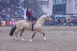 Ester en La Rural 2001